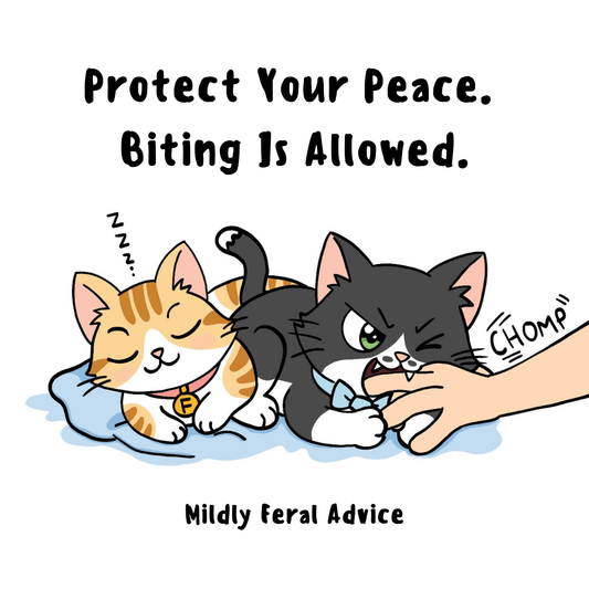 Cute cat comic illustration featuring Frankie the tabby sleeping while Coqui the tuxedo cat bites a reaching hand, symbolizing boundaries, self-care, and protecting your peace in the Frankie Said Meow “Mildly Feral Rules” series.