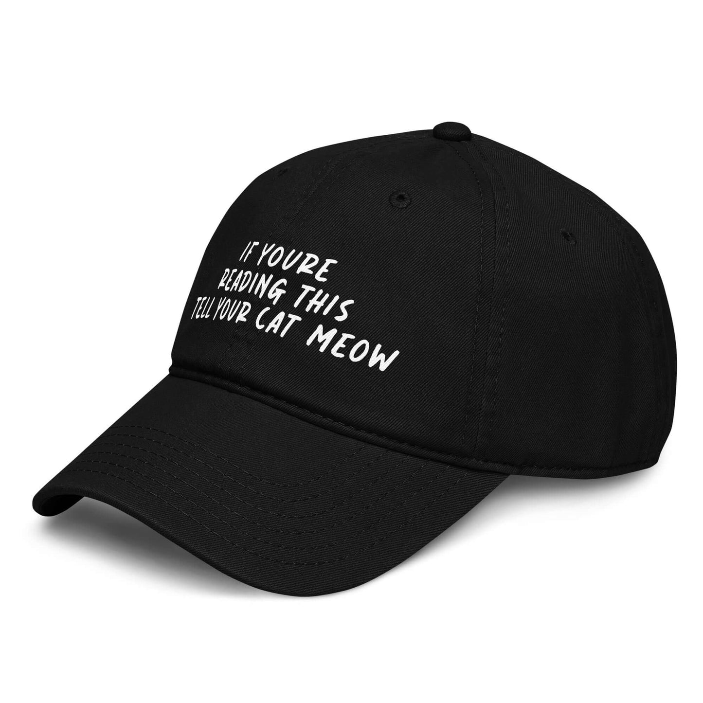 Black washed low-profile baseball cap with white embroidered text reading “if you’re reading this tell your cat meow.