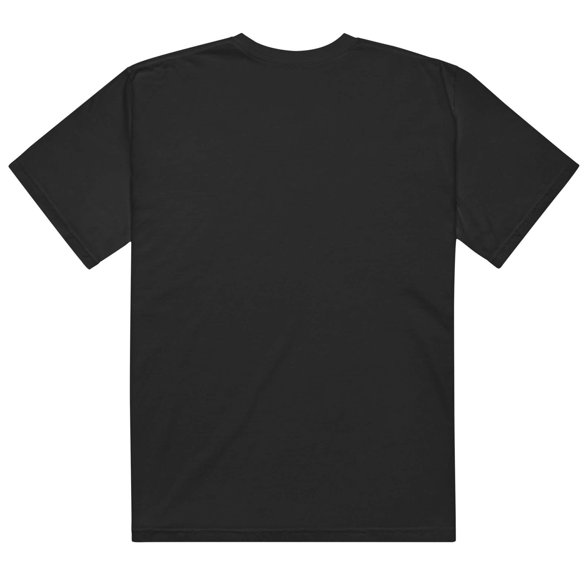 Coqui cat graphic "You've got unpaid tolls" comfort colors tee